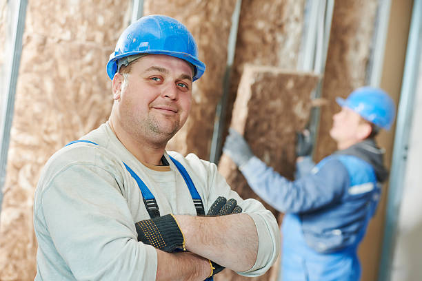 Eco-Friendly or Green Insulation Solutions in Wayzata, MN